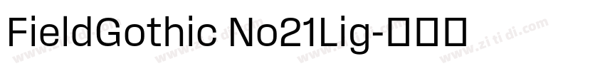 FieldGothic No21Lig字体转换